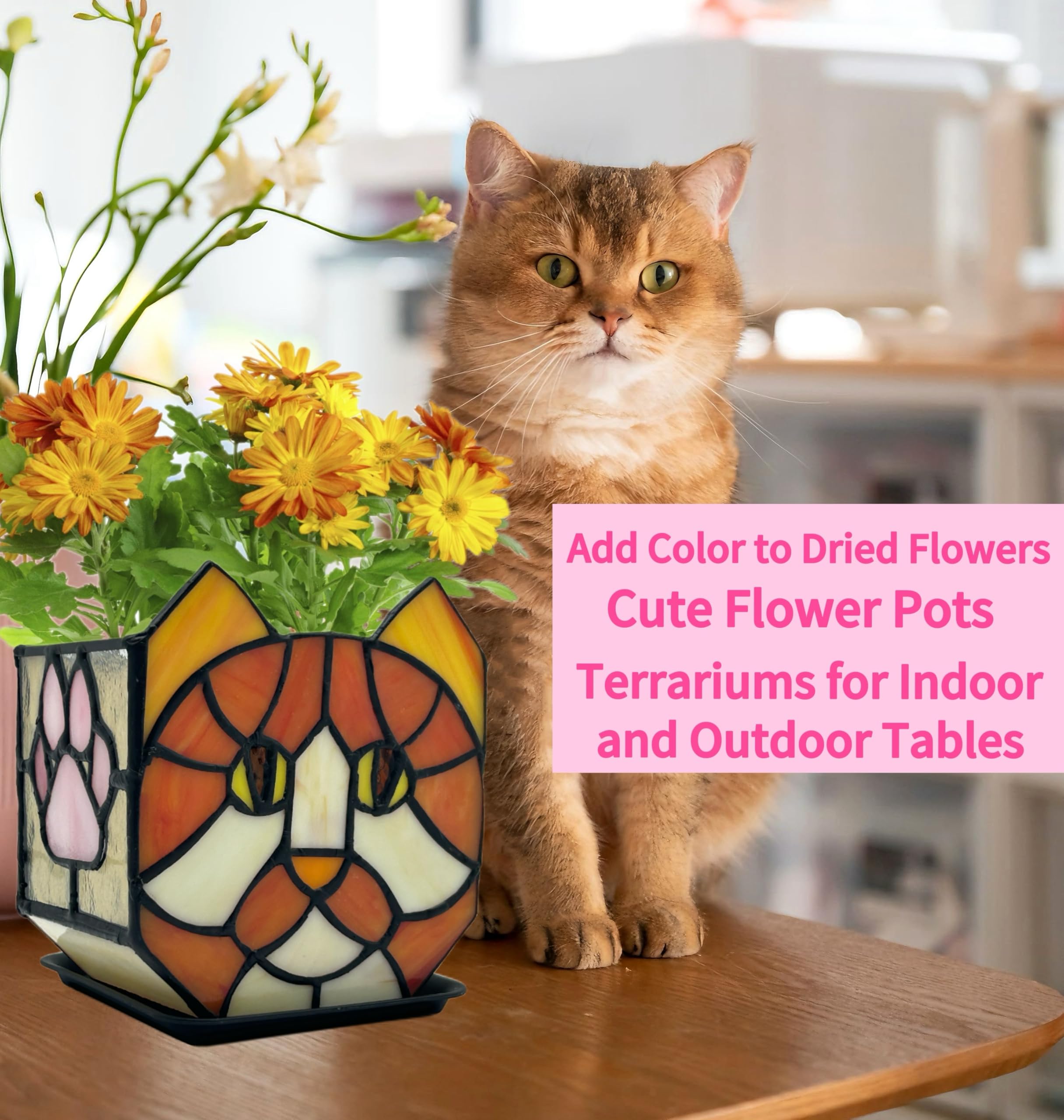 Entlityful orange cat planter next to ruler to show scale and space-saving benefit