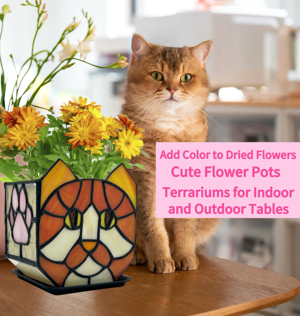 Entlityful orange cat planter next to ruler to show scale and space-saving benefit