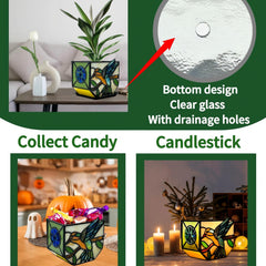 Entlityful planter with succulent in use on windowsill adding color and style