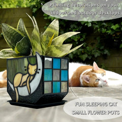 Entlityful planter with succulent on windowsill adding bright indoor greenery