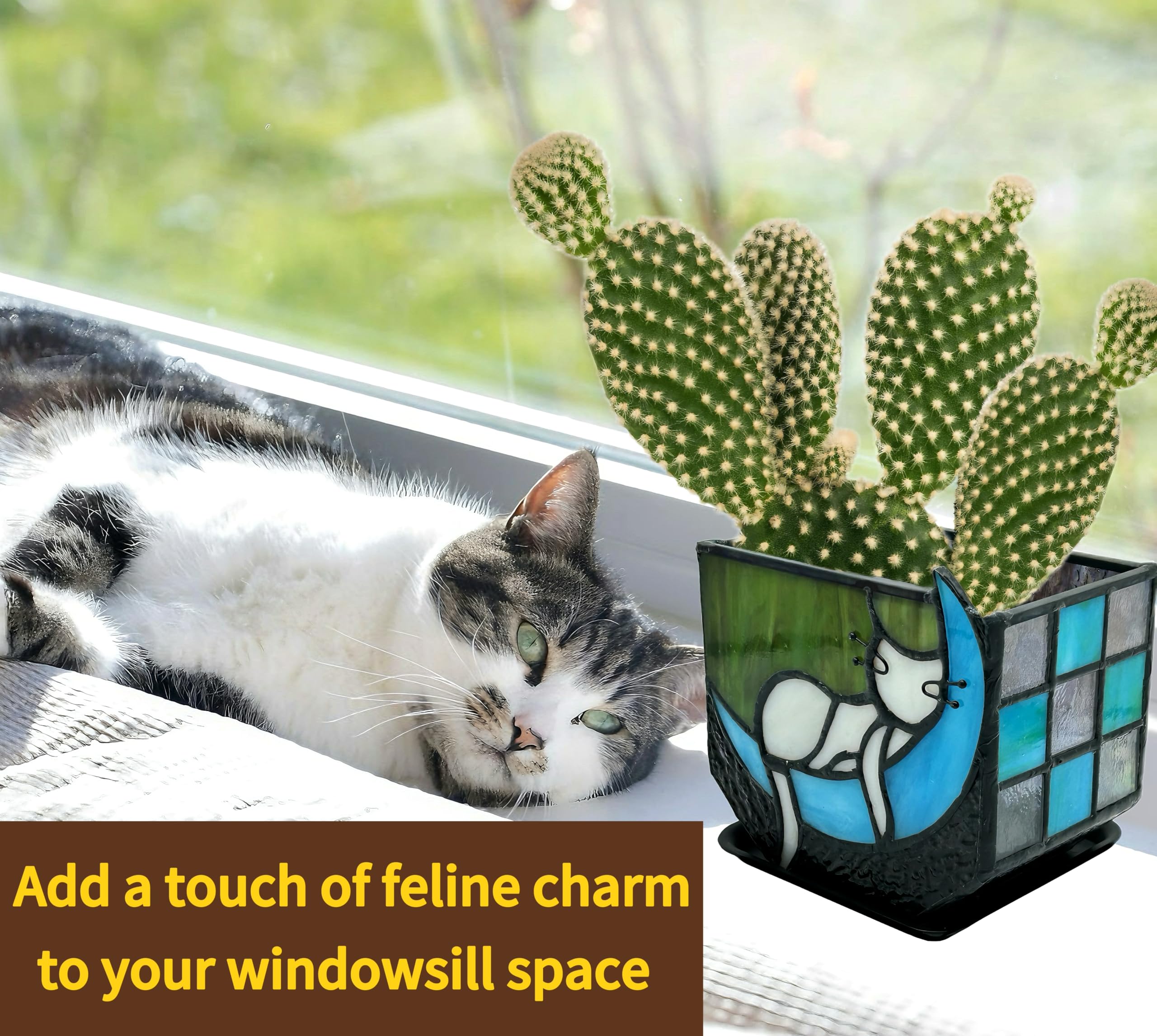 Entlityful planter holding a succulent, showing scale and improved plant display at home
