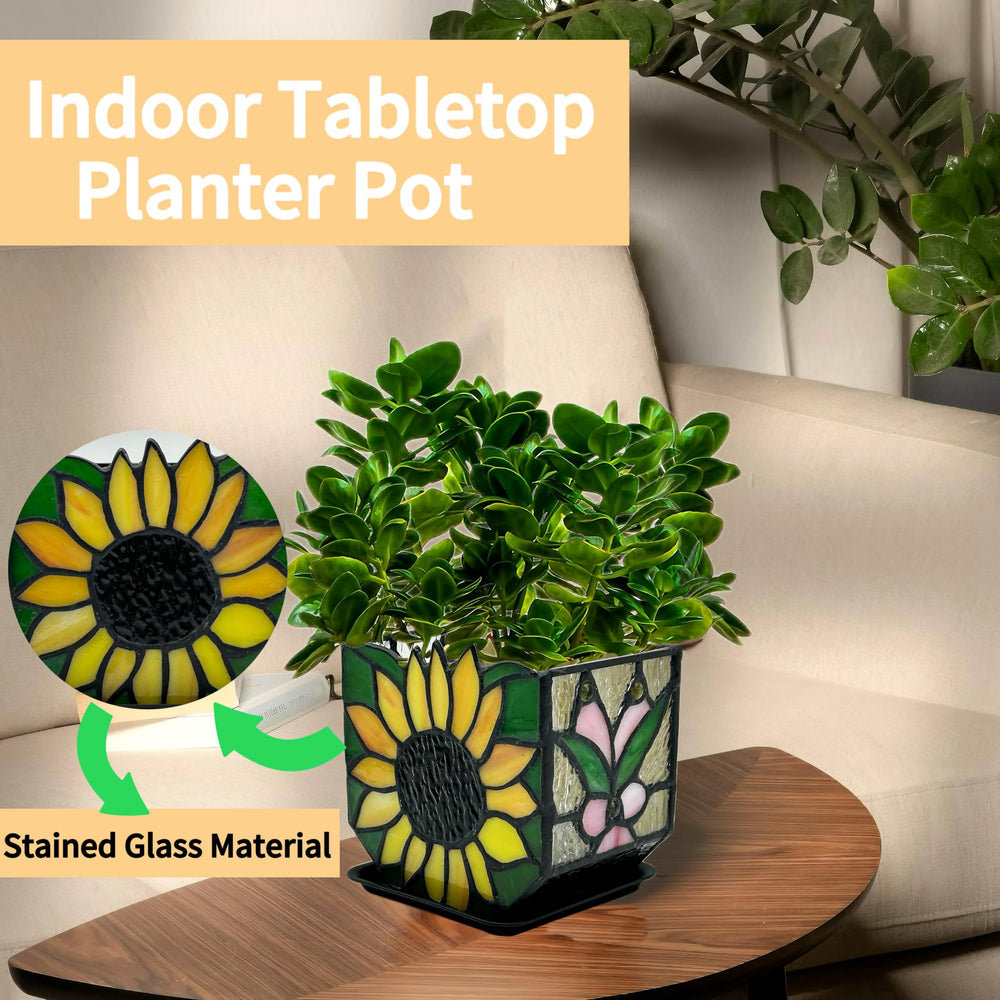 Entlityful top view with succulent planted illustrating drainage and neat fit