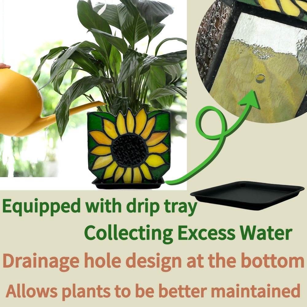 Entlityful tray and drainage hole closeup showing tidy water collection benefit