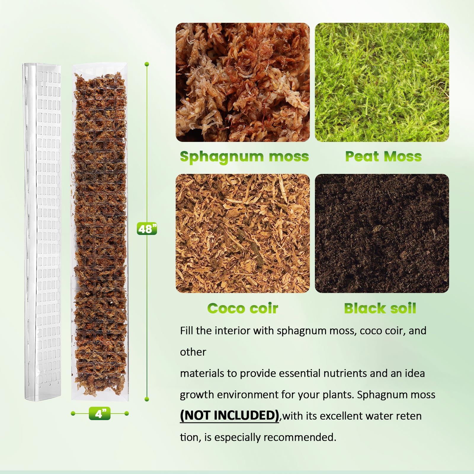 EOX close-up of moss grid texture highlighting broad rooting surface for aerial roots