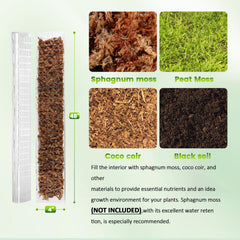 EOX close-up of moss grid texture highlighting broad rooting surface for aerial roots