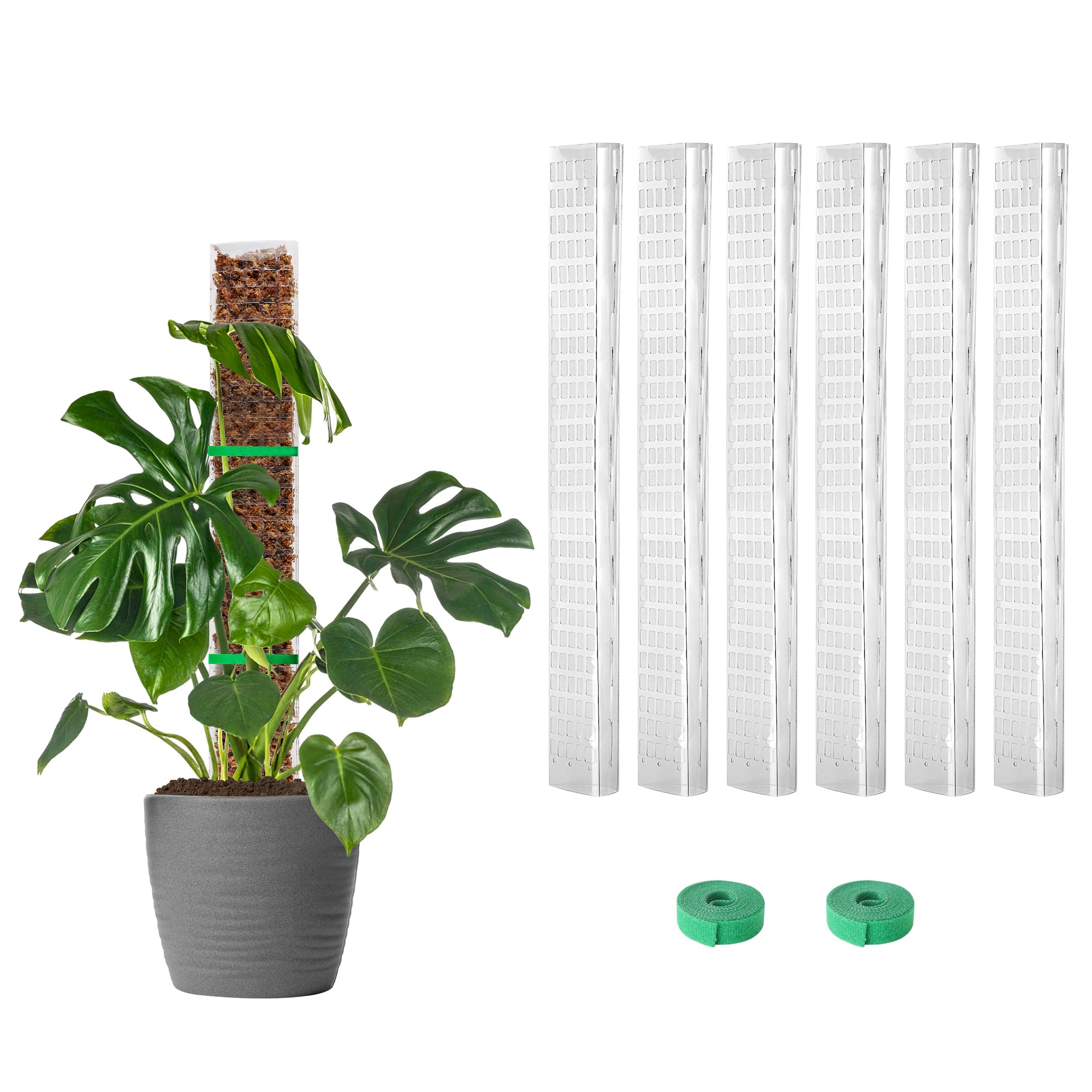 EOX front view of six clear 24-inch poles and garden ties showing value