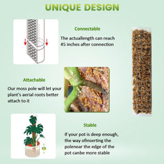 EOX grid cavity detail ready to hold sphagnum moss, promoting root attachment