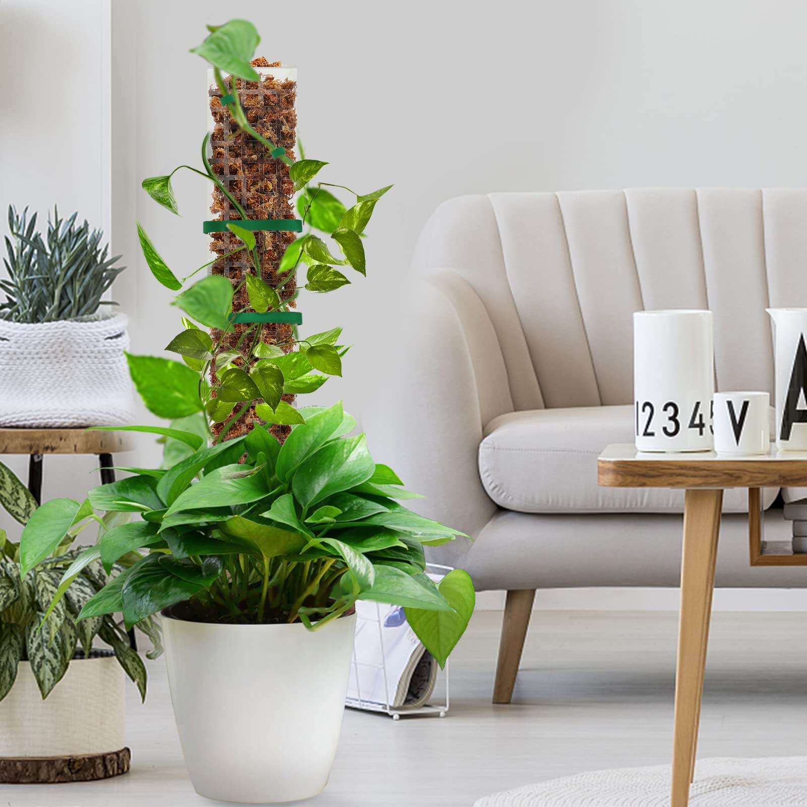 EOX lifestyle scene with potted climbing plant demonstrating vertical growth