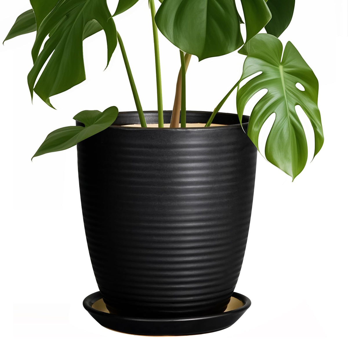 EPFamily front view black planter showcasing modern shape and curb appeal