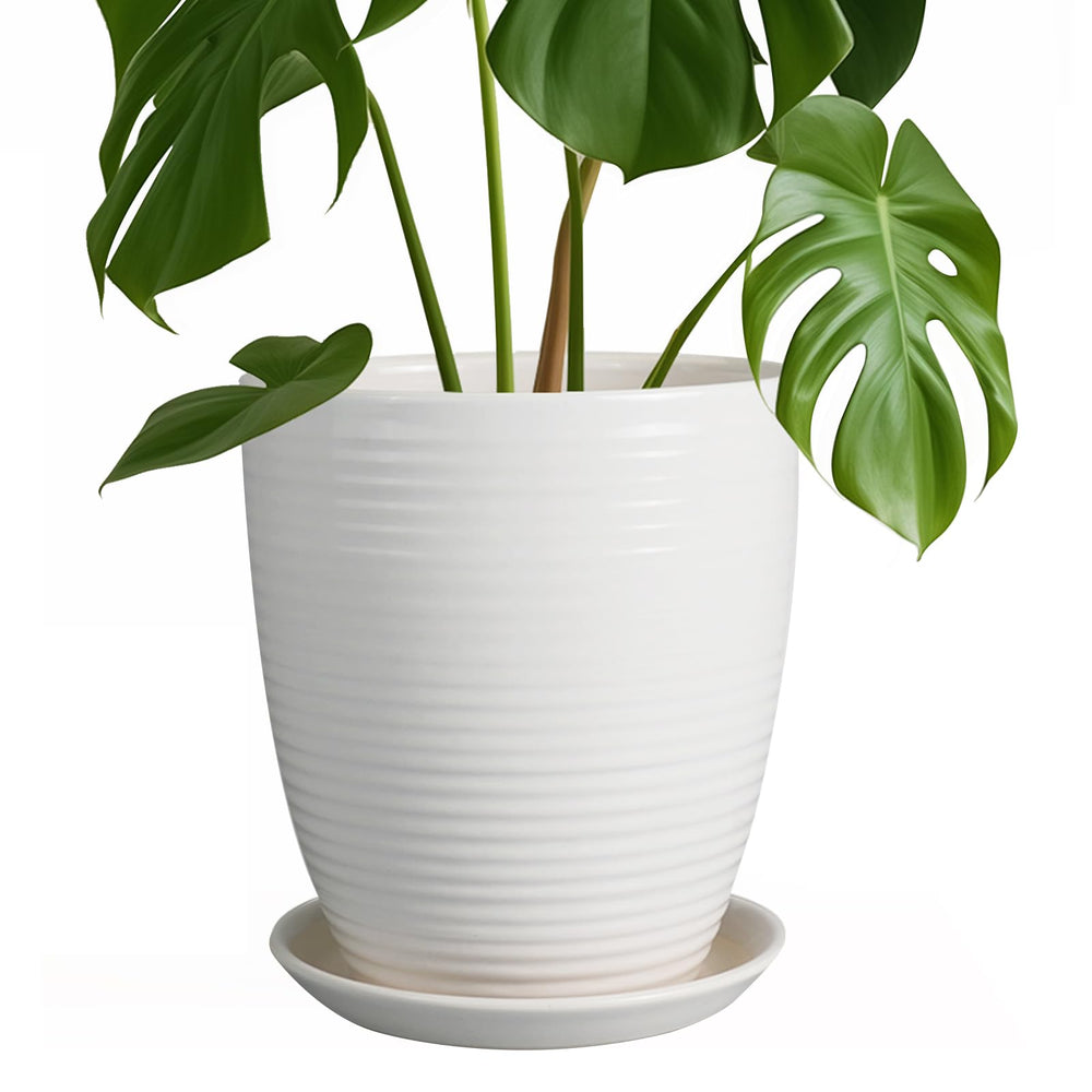 EPFamily front view of white 8 inch planter showing shape and finish, decorative benefit