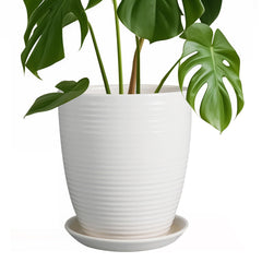 EPFamily front view of white 8 inch planter showing shape and finish, decorative benefit