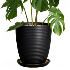 EPFamily front view black planter showcasing modern shape and curb appeal