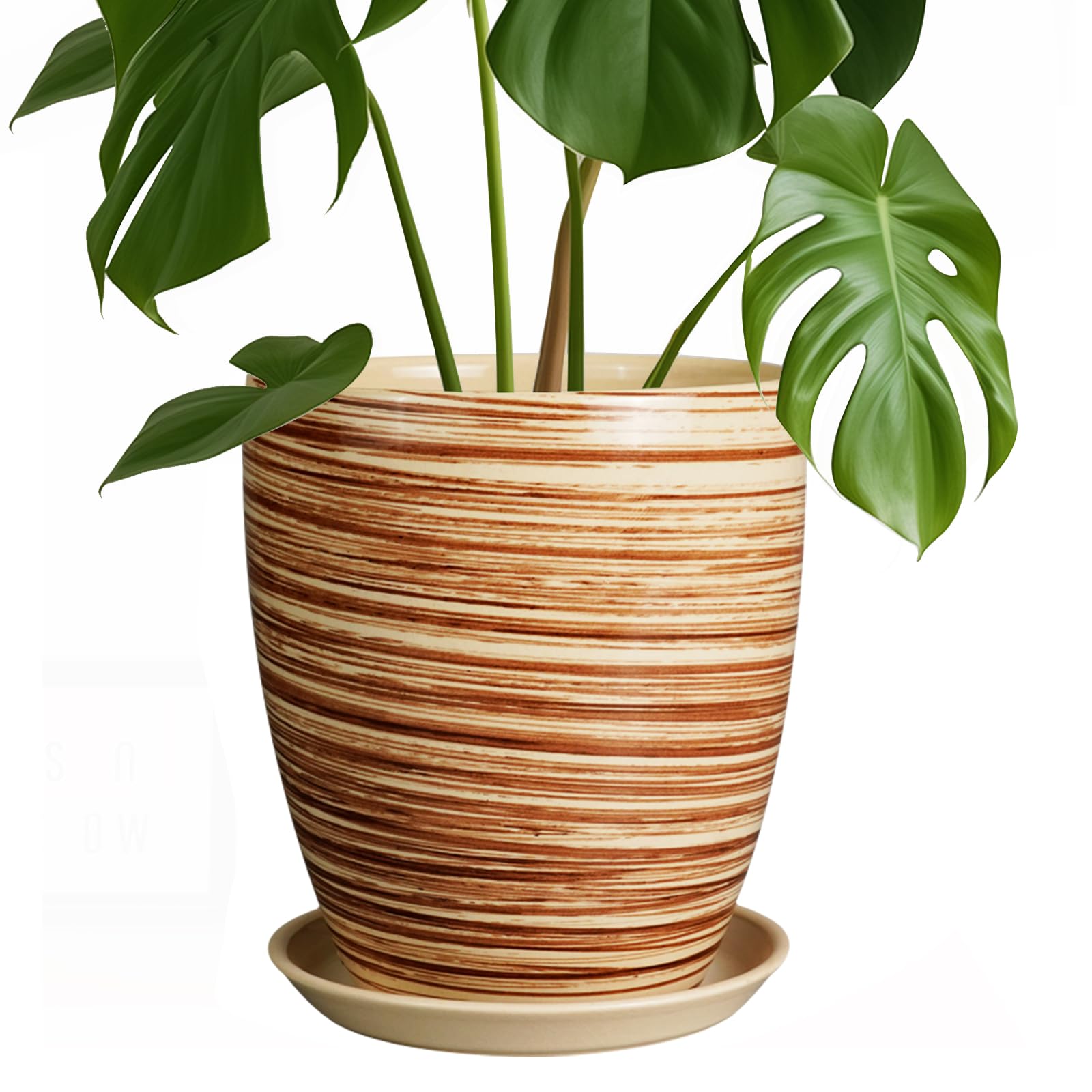 EPFamily front view of 8 inch pot showing shape and color, stylish decor benefit