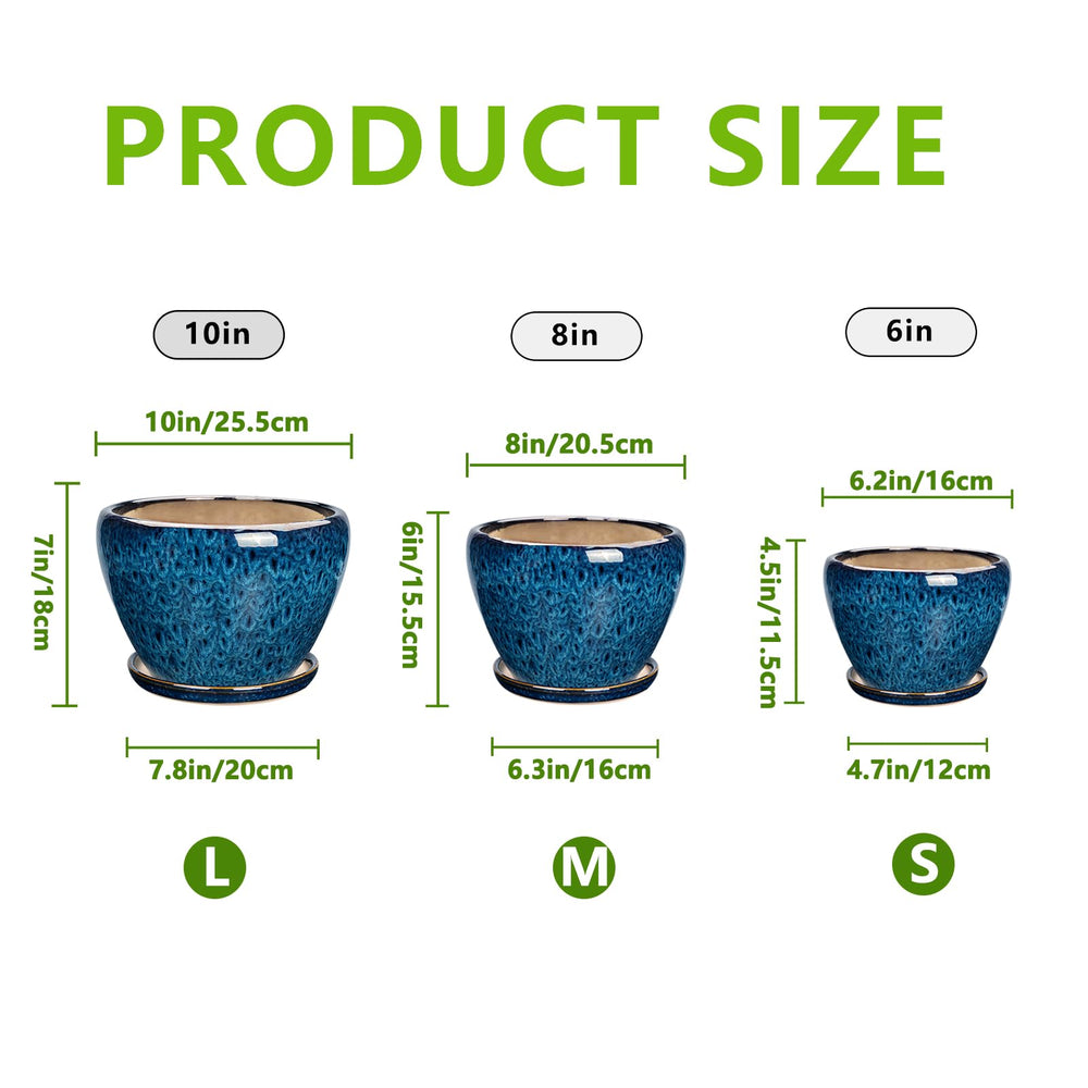 EPFamily 10-inch planter with Monstera demonstrating large plant support