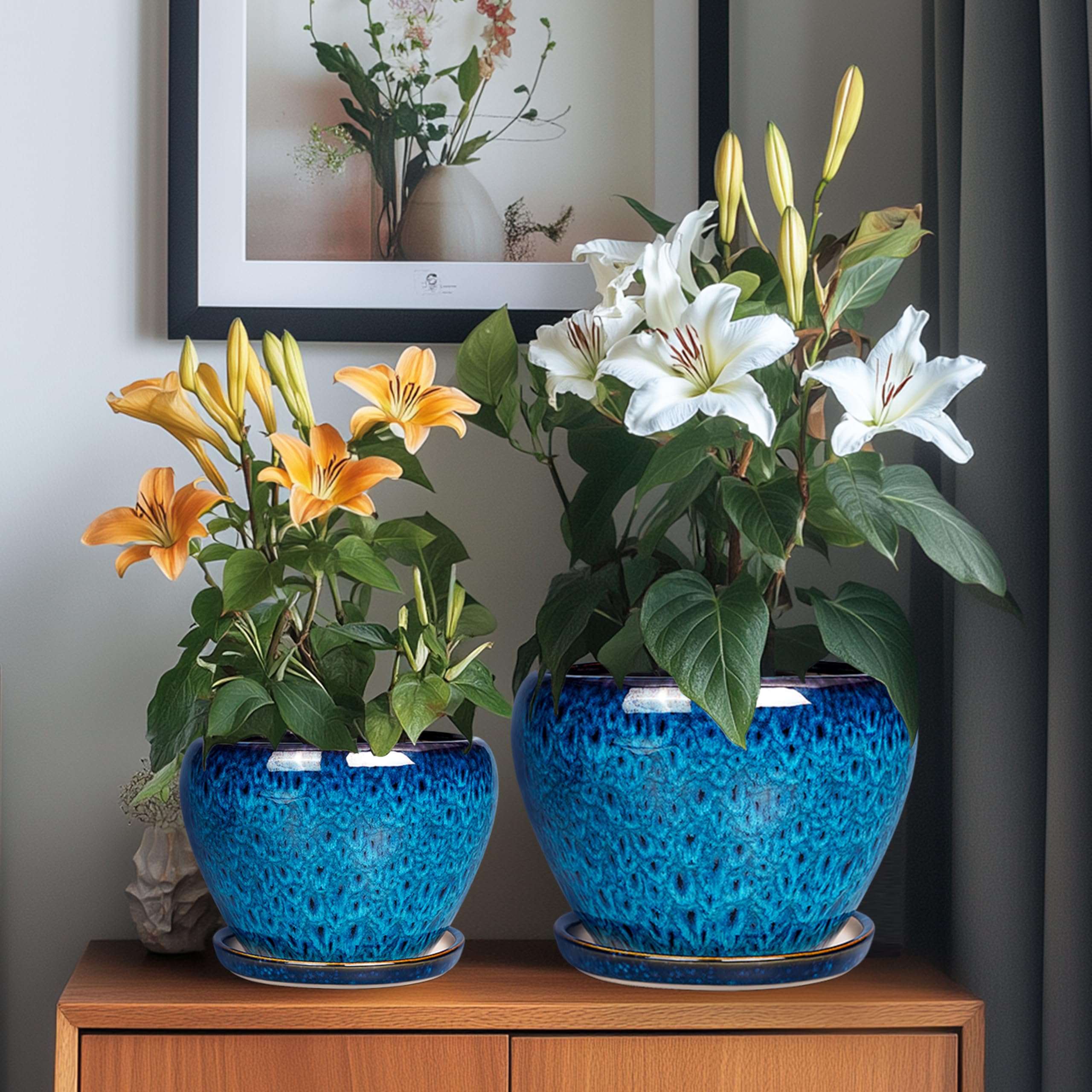 EPFamily 8-inch planter with snake plant showing medium indoor plant fit