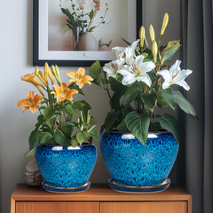 EPFamily 8-inch planter with snake plant showing medium indoor plant fit