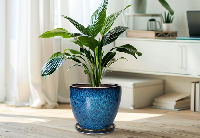 EPFamily planter on patio showing weather-sheltered outdoor styling benefit
