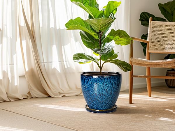 EPFamily planter staged with monstera showing decorative display benefit