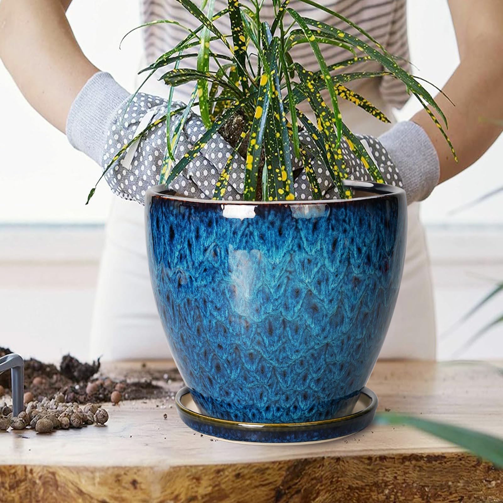 EPFamily planter with saucer top view showing neat water-catching benefit