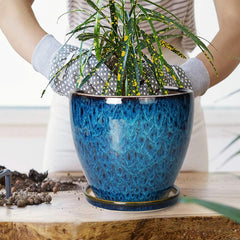 EPFamily planter with saucer top view showing neat water-catching benefit
