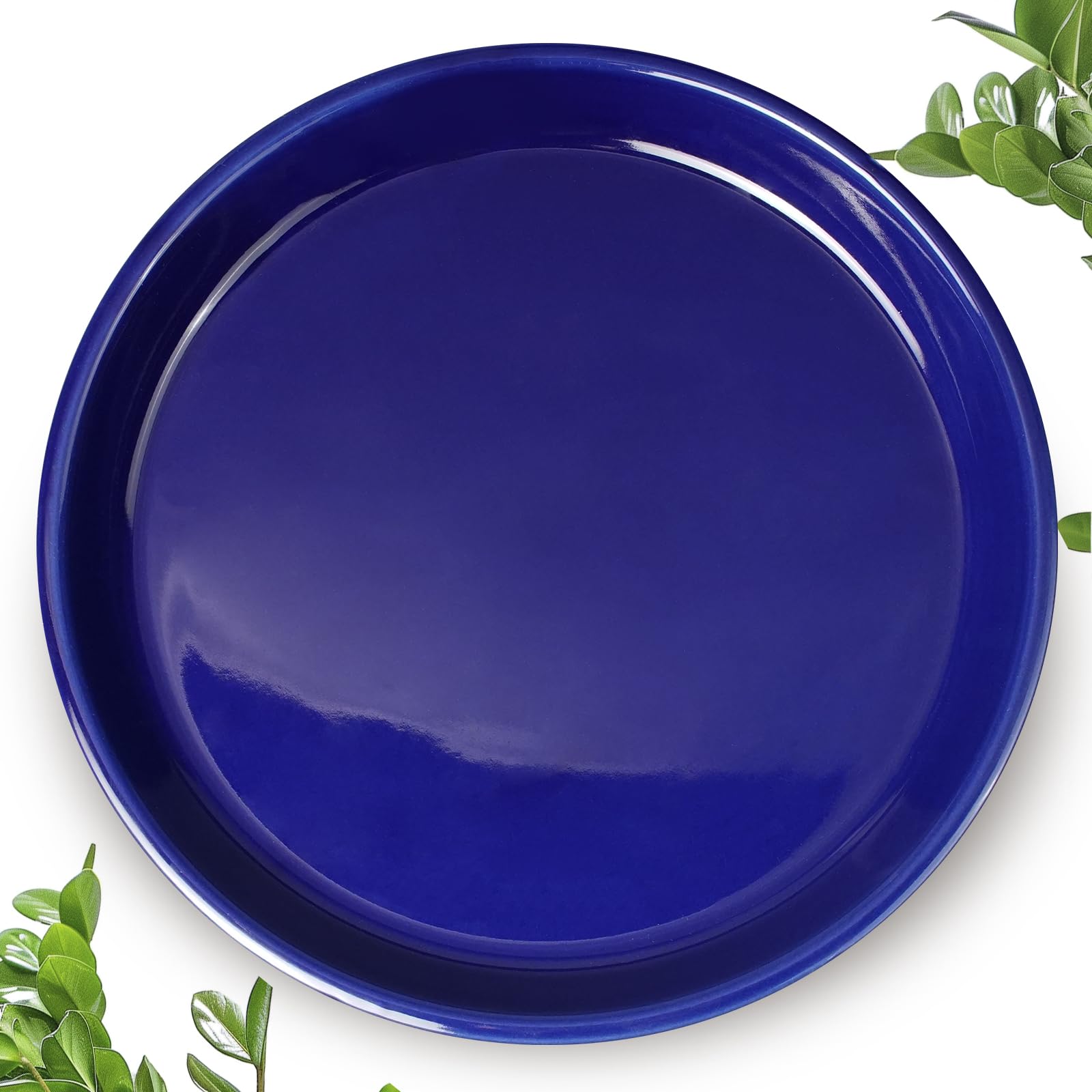 EPFamily blue saucer front view showing clean shape and surface protection