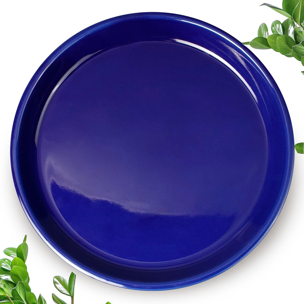 EPFamily blue saucer front view showing clean shape and surface protection