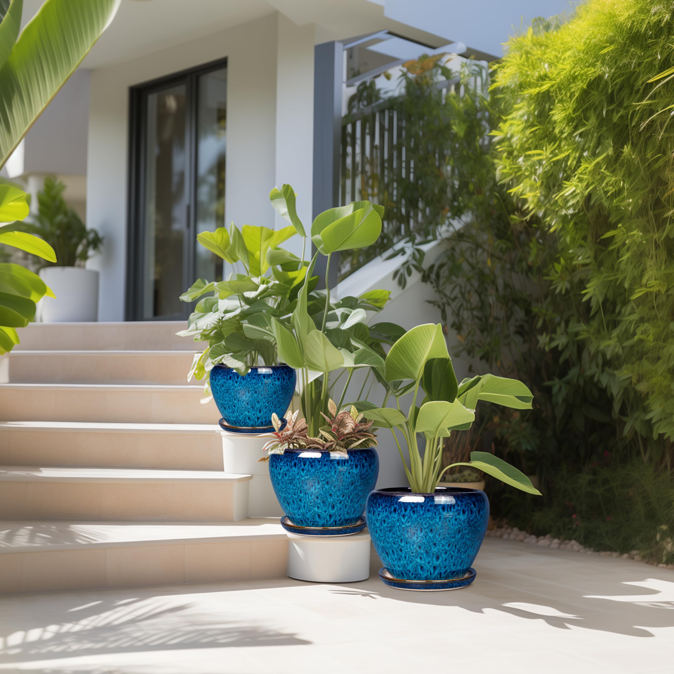 EPFamily ceramic saucers and mesh accessories keeping surfaces clean