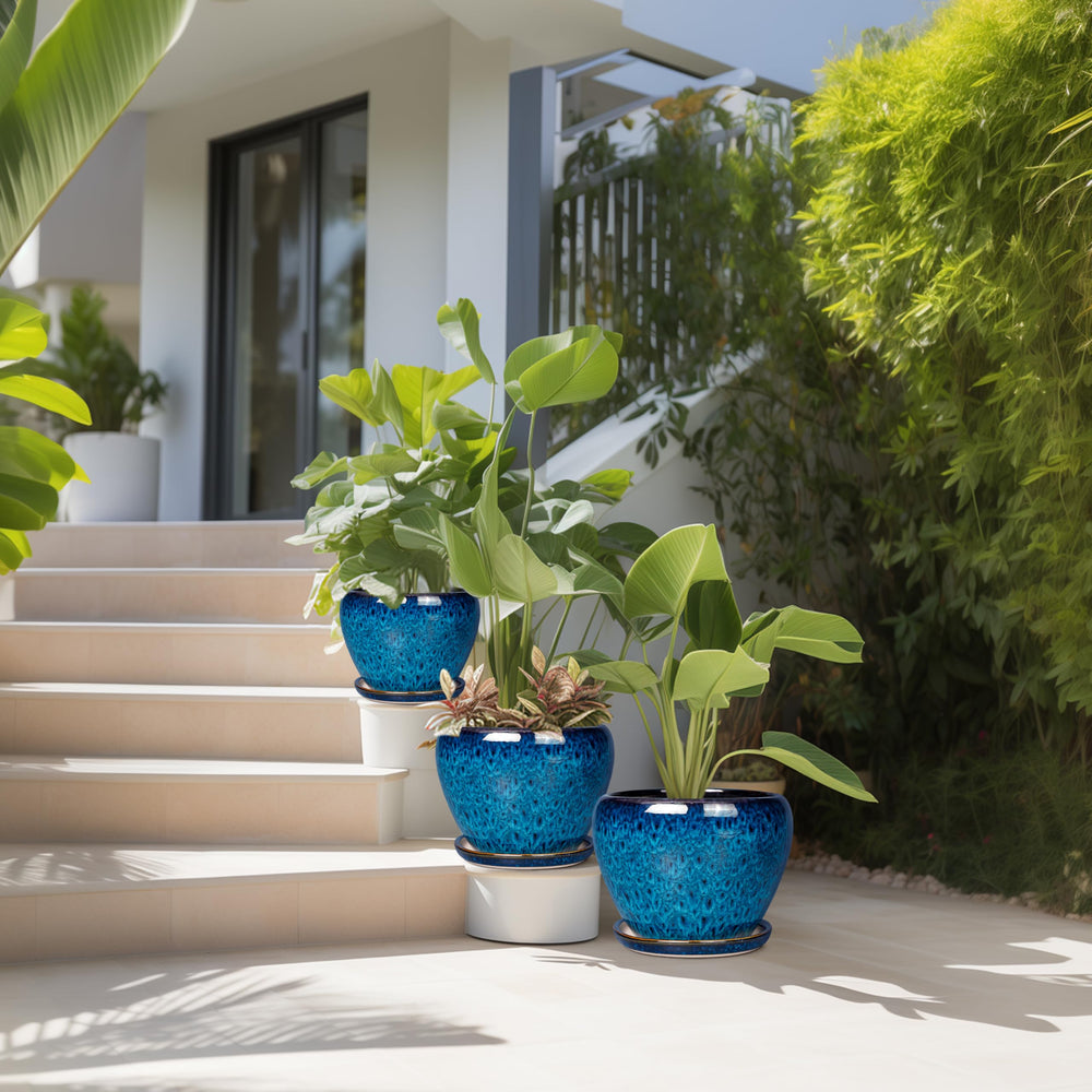 EPFamily ceramic saucers and mesh accessories keeping surfaces clean