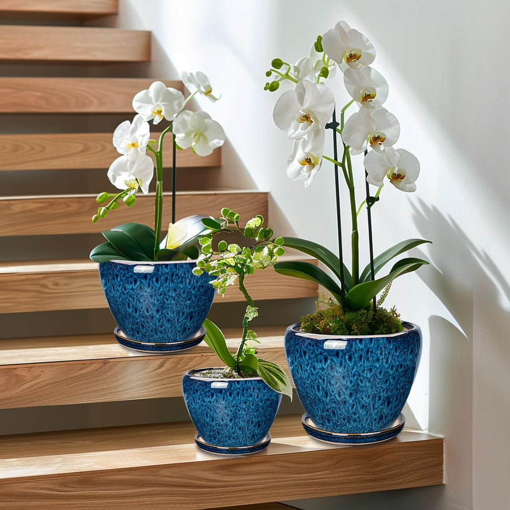 EPFamily trio styled on living room shelf adding decorative greenery