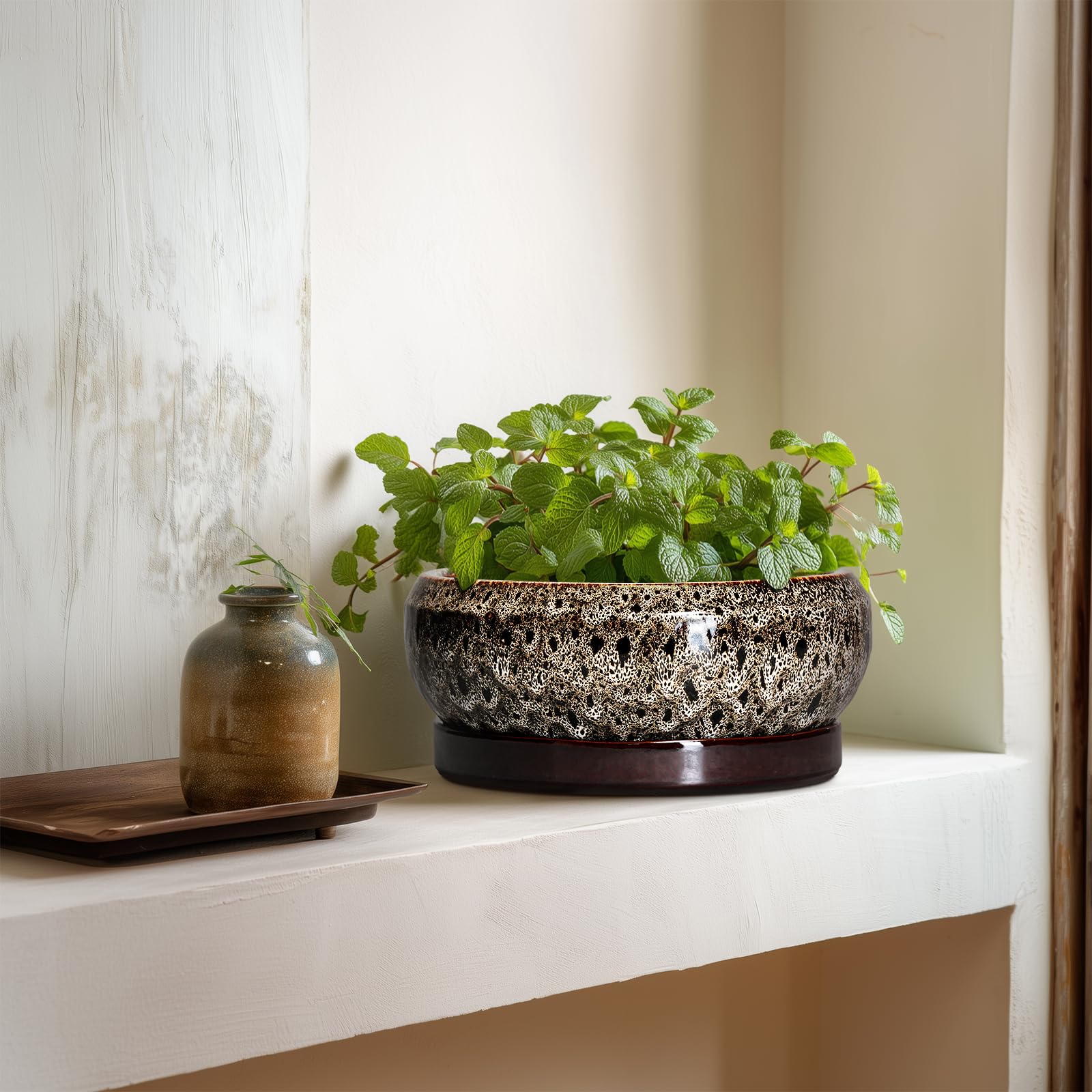 EPFamily planter styled on a windowsill adding clean modern decor