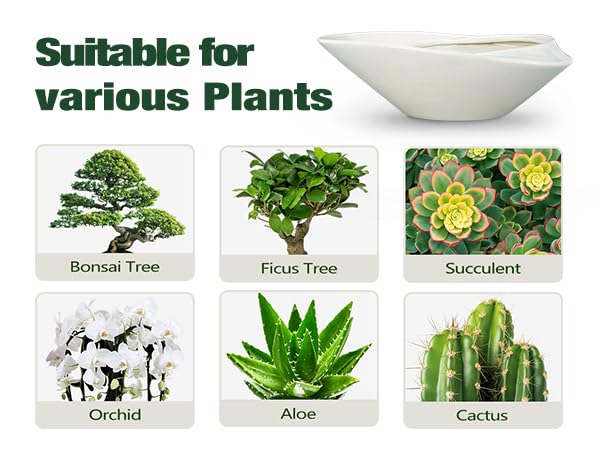 EPFamily planter on a balcony with other decor showing outdoor suitability benefit: patio-ready style