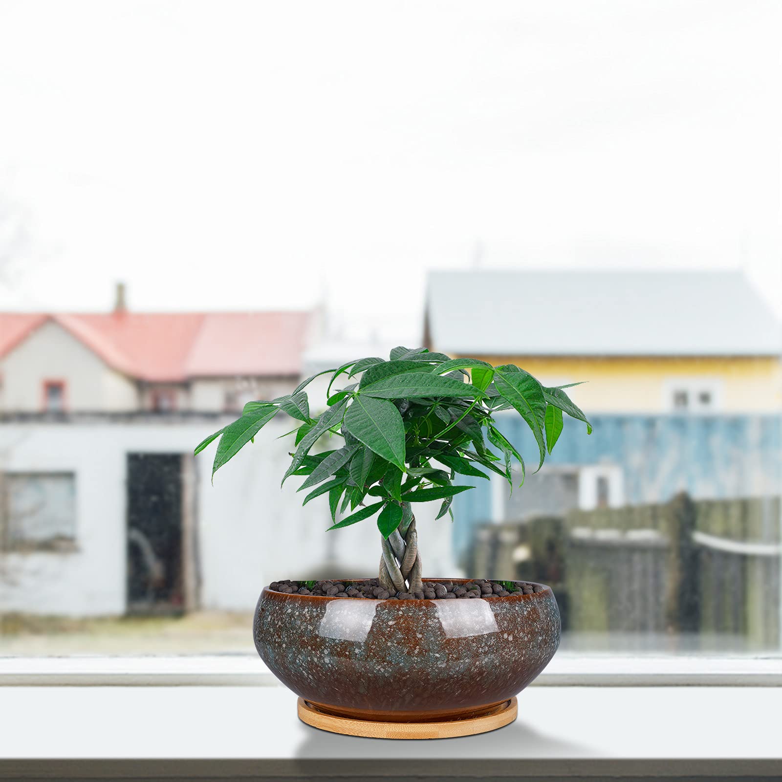 EPFamily planter on desk next to notebook showing size and scale