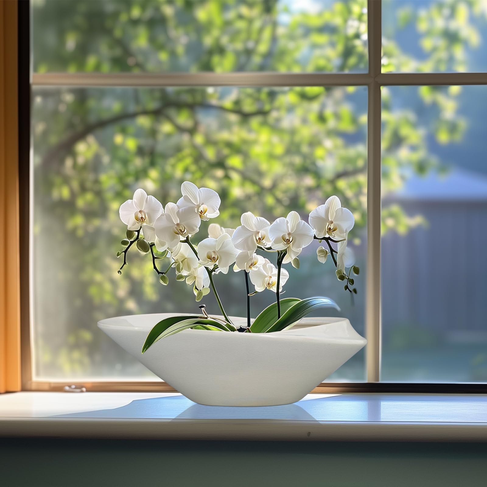 EPFamily planter holding a small bonsai demonstrating planted look benefit: immediate styling idea