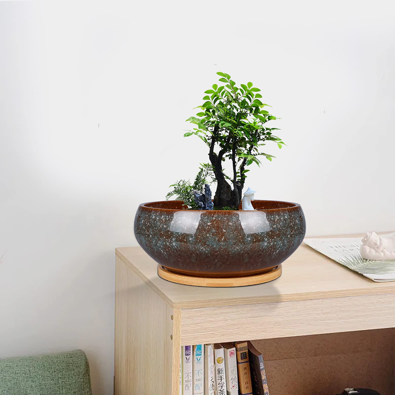 EPFamily planter in use with succulents showing tidy indoor display