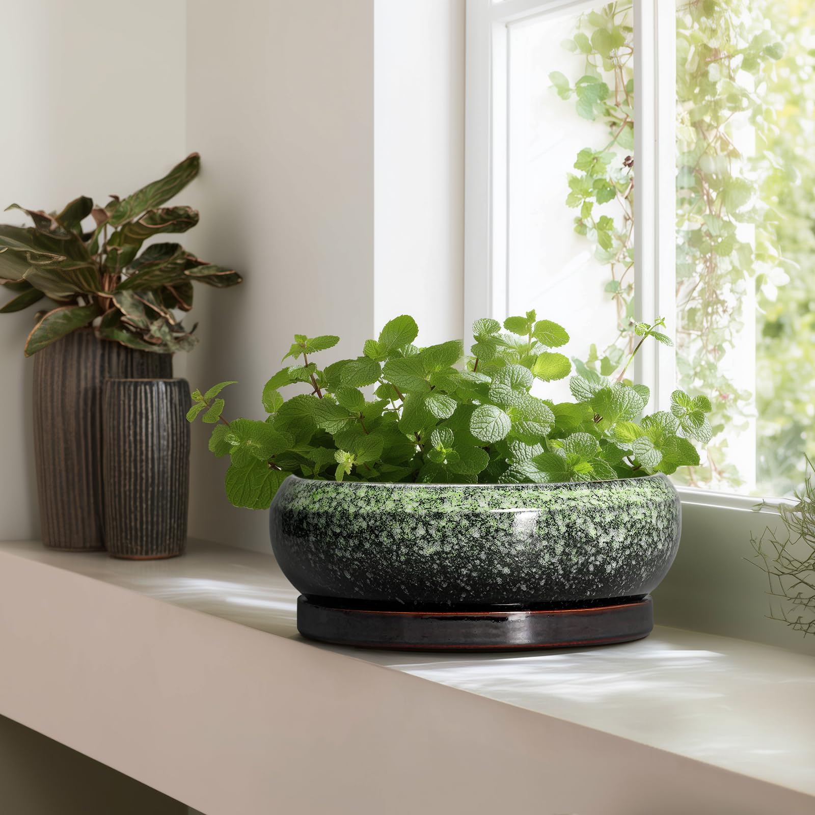 EPFamily pot with succulents in use displays attractive arrangement and balance