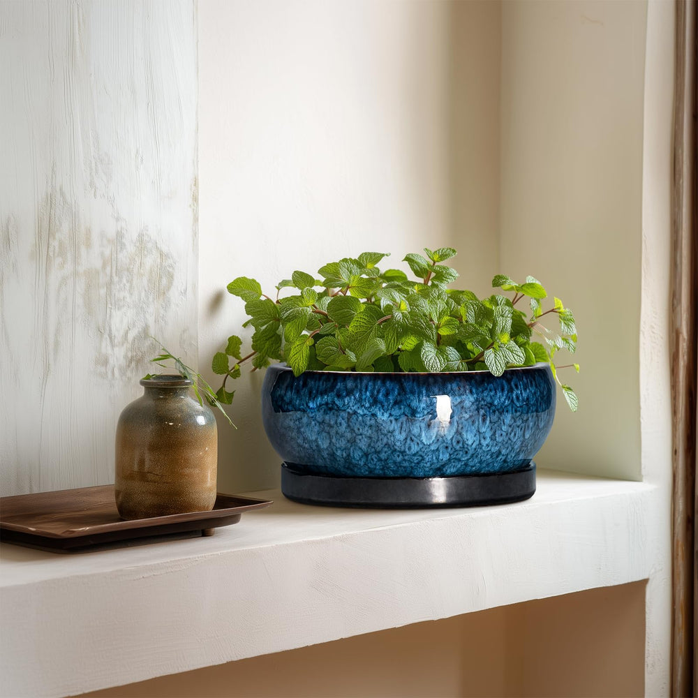 EPFamily pot planted with succulents on a sunny windowsill for decor appeal