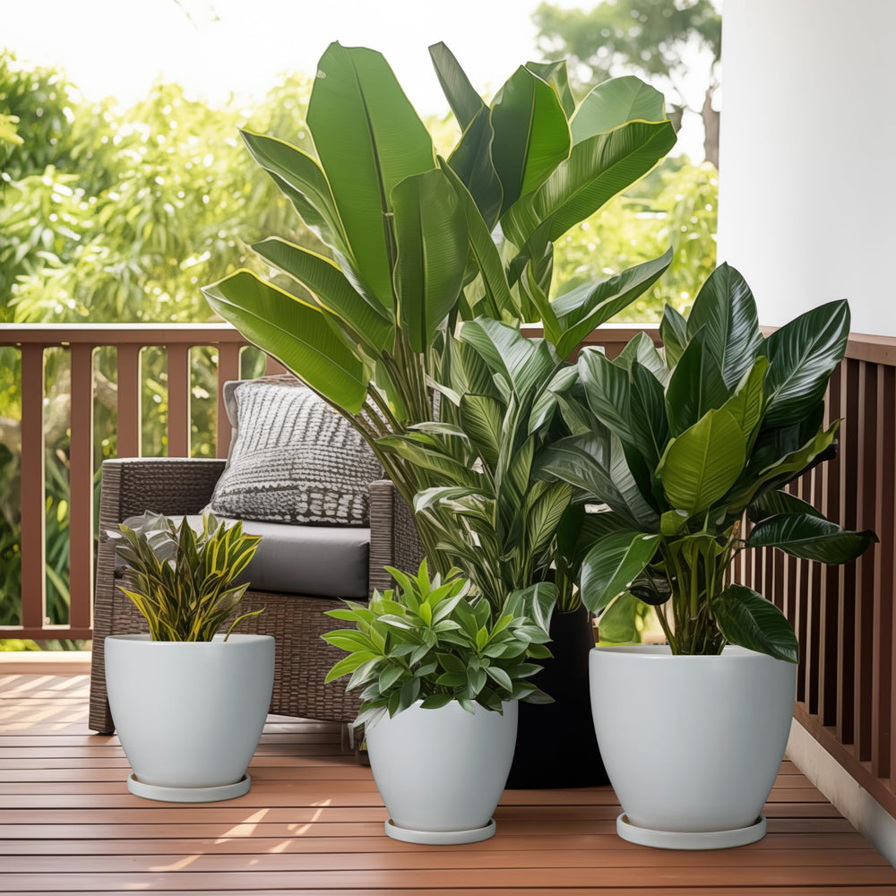 EPFamily planter boxed as a gift illustrating ready-to-give home decor present