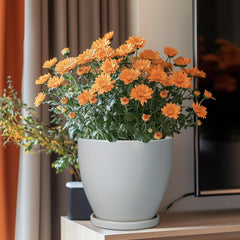 EPFamily close-up of glaze texture highlighting durable finish and visual depth