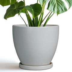 EPFamily ceramic pot front view showing modern gray finish and clean lines