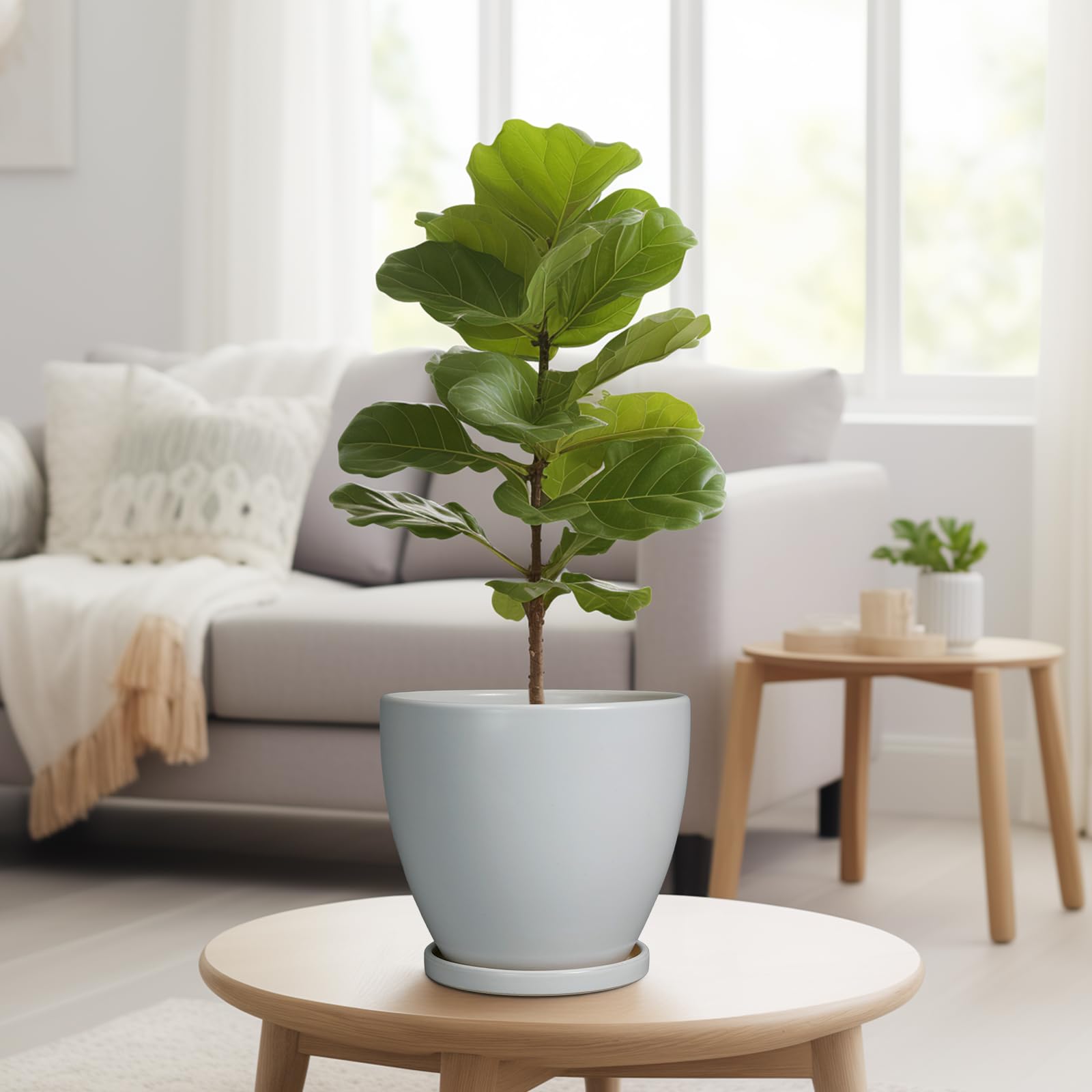 EPFamily planter staged in living room bringing low-maintenance greenery indoors