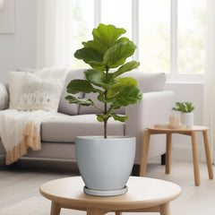 EPFamily planter staged in living room bringing low-maintenance greenery indoors