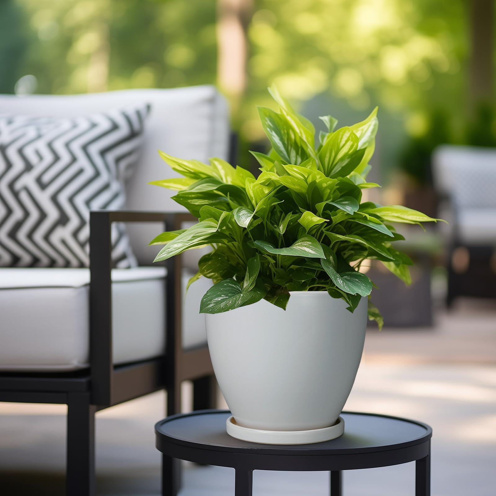 EPFamily pot held by hand to show scale and fit for medium houseplants