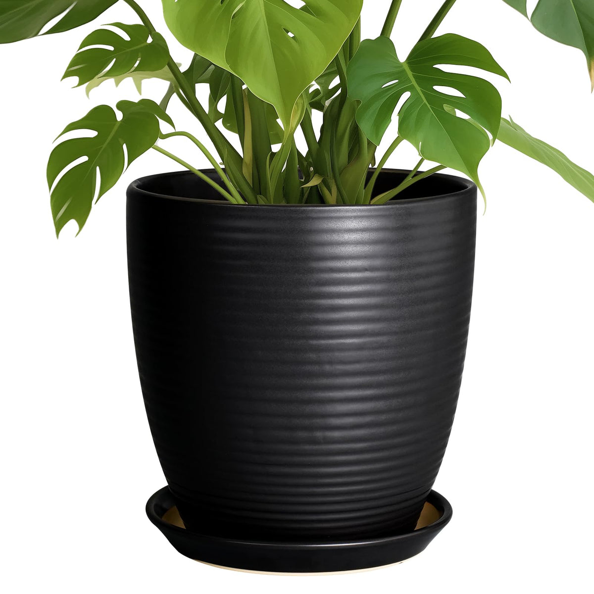 EPFamily front view of black 10-inch pot showing elegant shape and durable finish