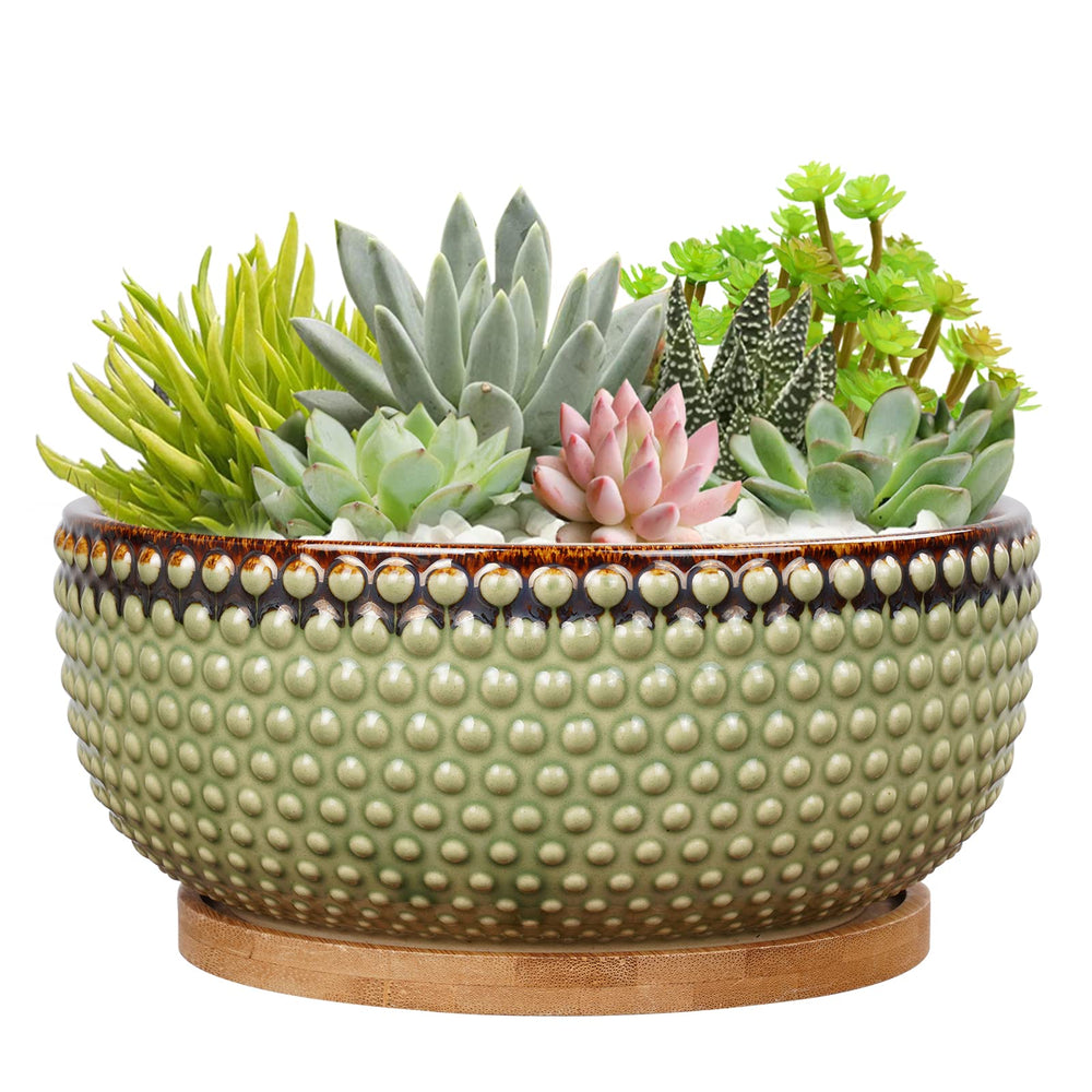 EPFamily front view green beaded planter showing clean modern style and decor benefit