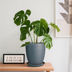 EPFamily close-up of ceramic glaze texture highlighting smooth finish and durable look