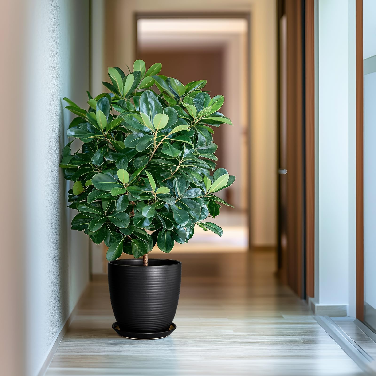 EPFamily planter holding monstera in living room illustrating stylish home display