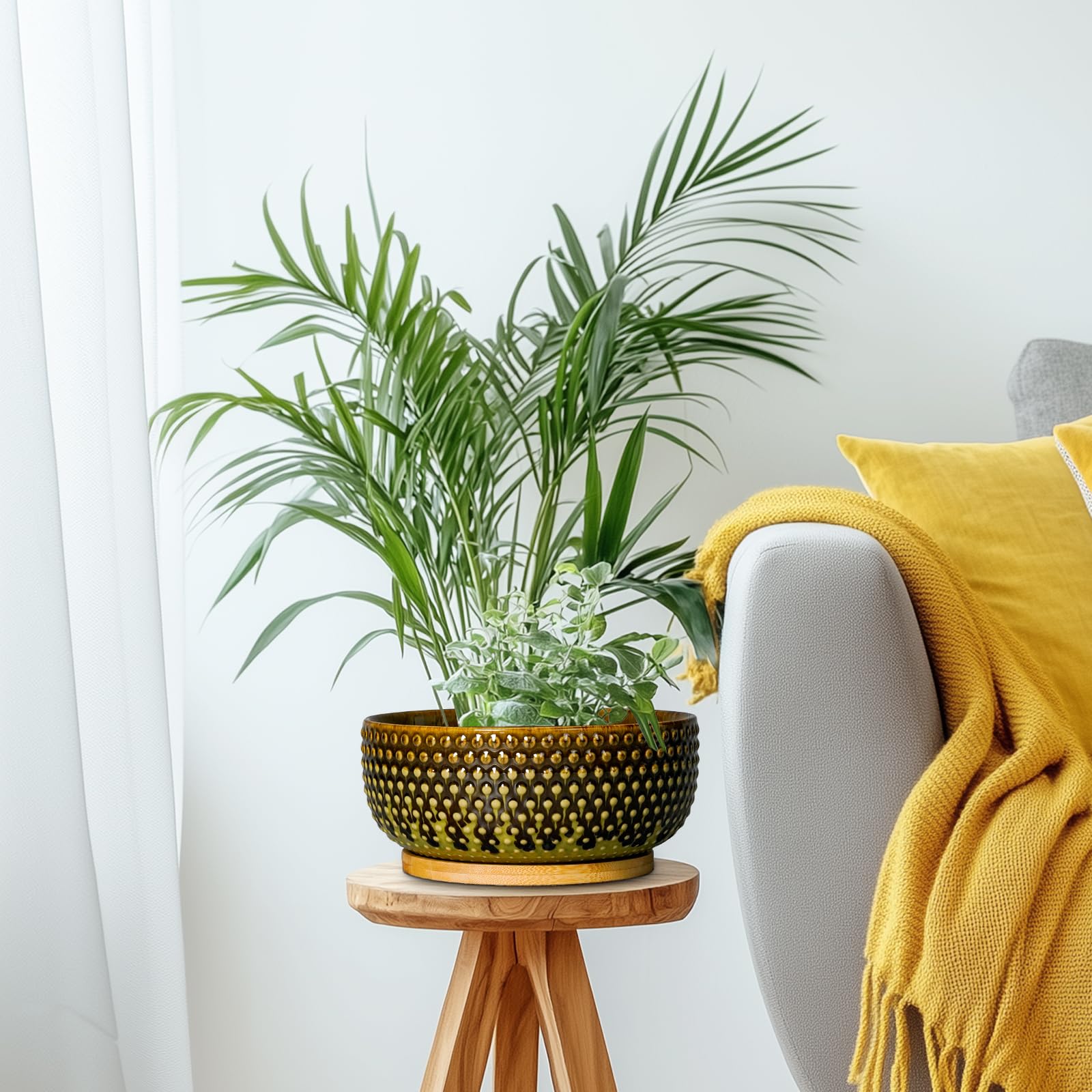 EPFamily on windowsill lifestyle shot adding warmth and modern home decor