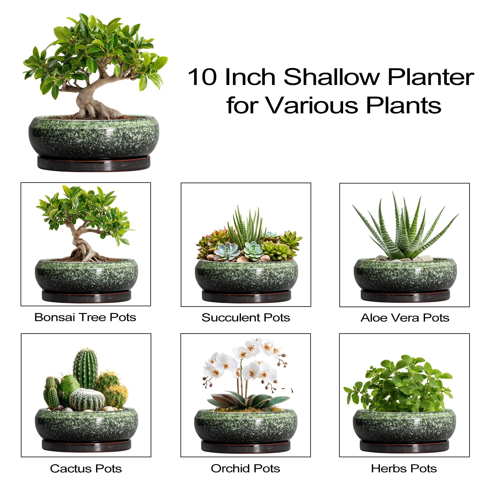 EPFamily tabletop lifestyle with pot enhancing office or home decor appearance