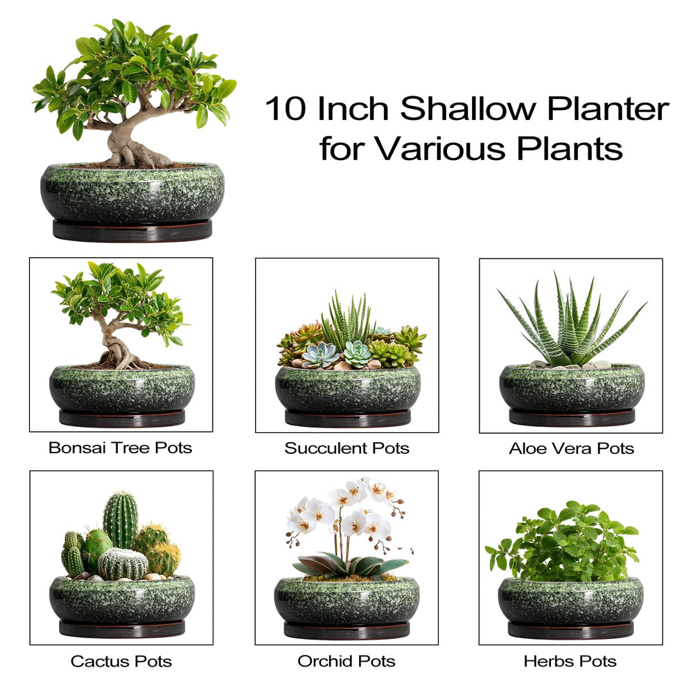 EPFamily tabletop lifestyle with pot enhancing office or home decor appearance