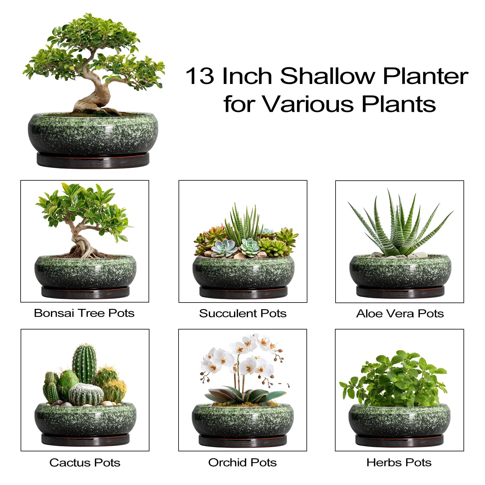 EPFamily lifestyle window sill display enhances room decor with live plants